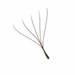 5D brown volume lashes