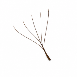 5D brown volume lashes