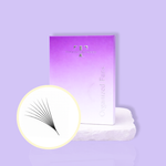 8D Organized Pro-Made Fans