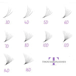 Best Promade lash fans