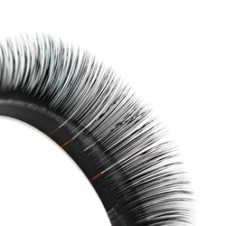 Cashmere noir lashes