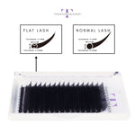 Classic flat lashes