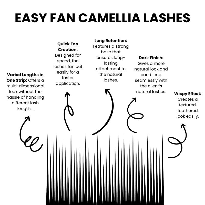 Lash extensions camellia easy fan
