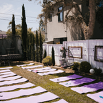 Empty yoga mats arranged outdoors before a wellness activity begins.
