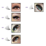 Promade fans
