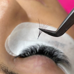 Volume Lash Fans