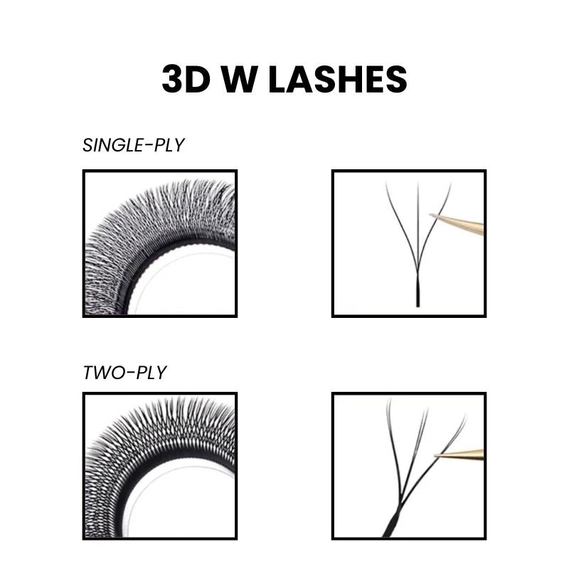 W Lashes