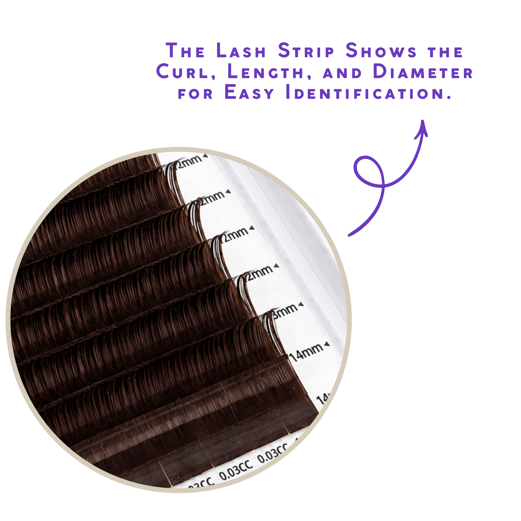 brown volume lash trays