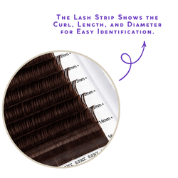 brown volume lash trays