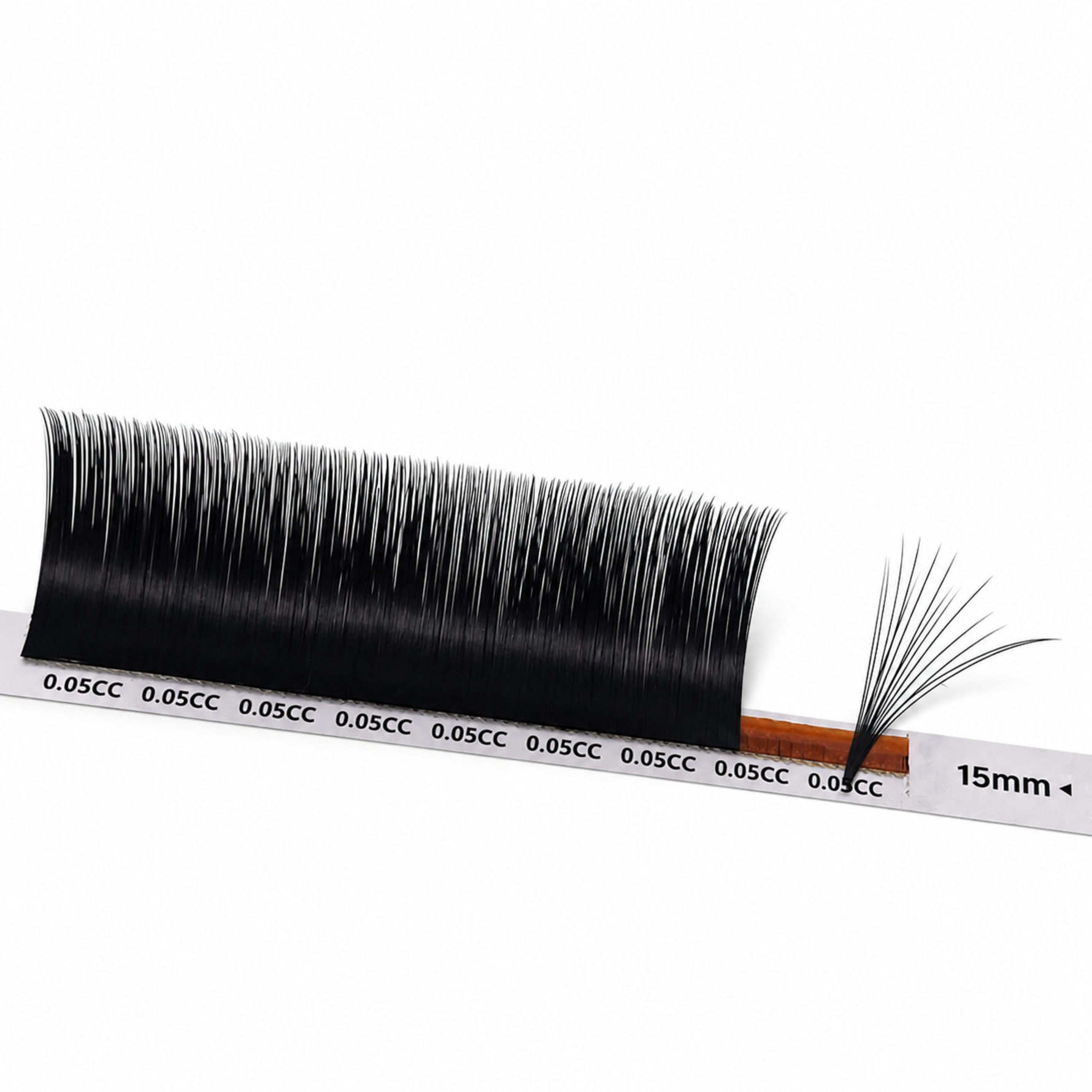 camellia lash extensions easy fan