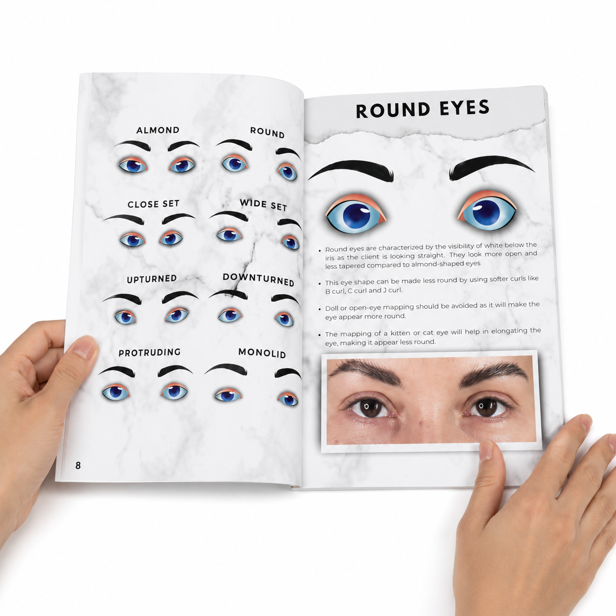 lash artist training guide