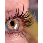 lash lift and tint