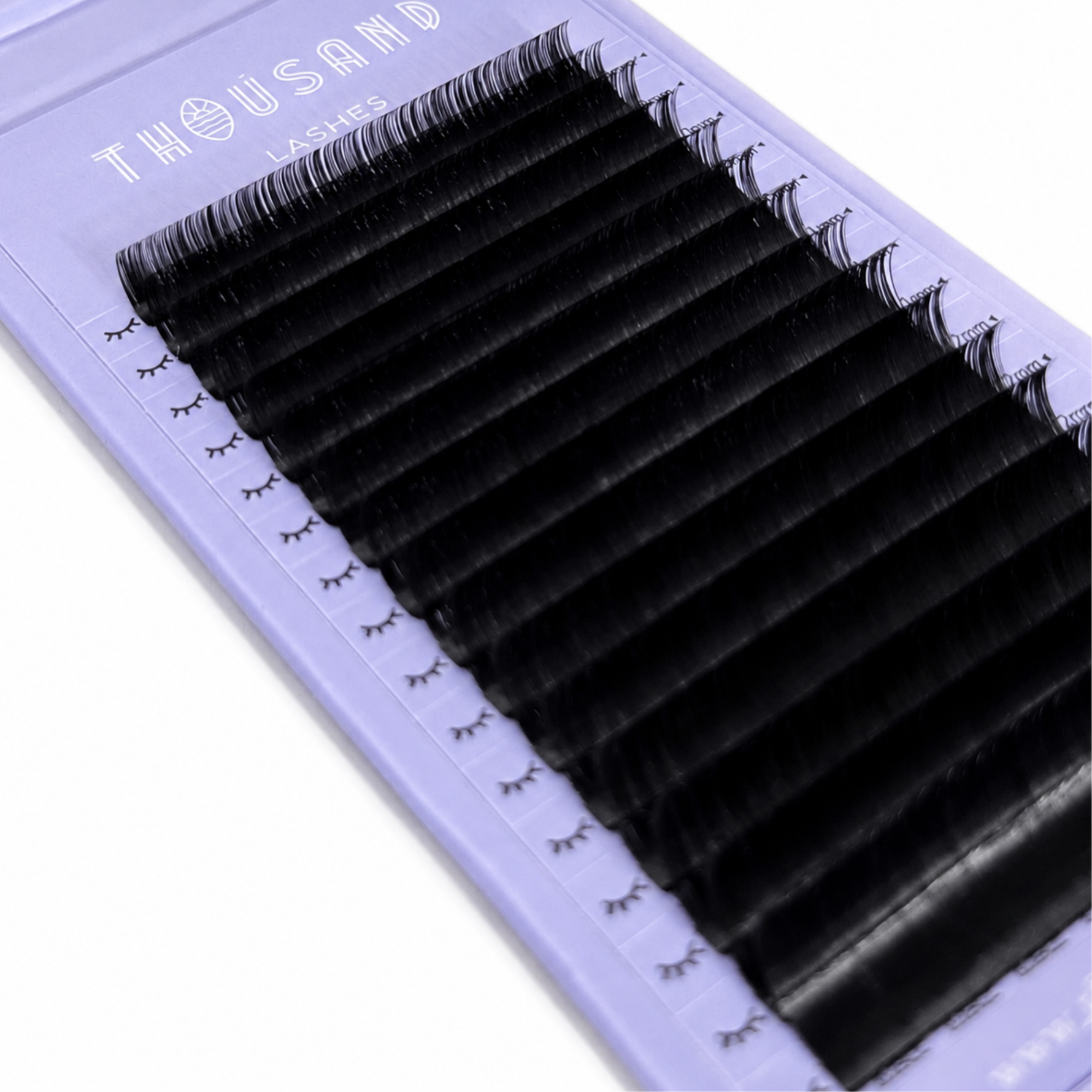 volume lash trays cashmere noir