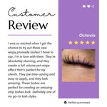 Customer Review