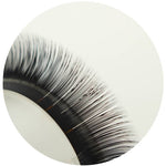 Easy Fan Lashes close-up showing soft matte black volume lash fibers and easy fanning strip