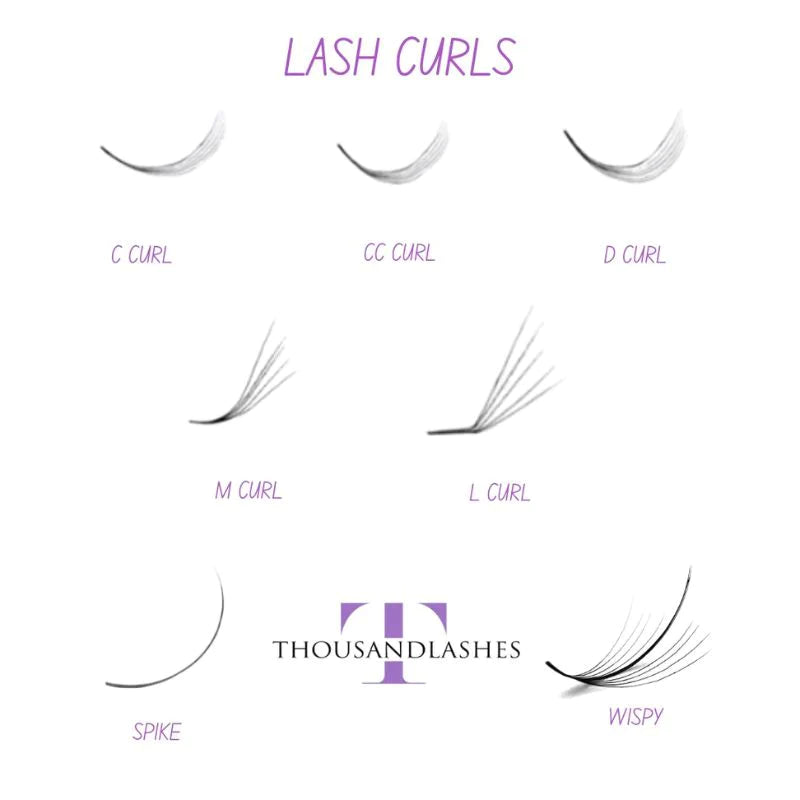 Lash Curls