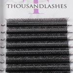 w lash extensions