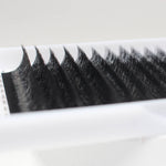 W lashes
