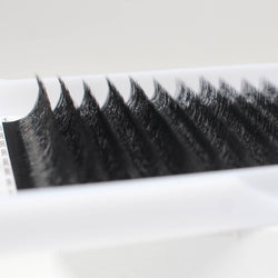 W lashes